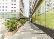 东方广场-环境绿化