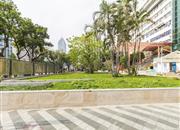 东方广场-环境绿化