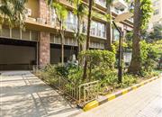 金众经典家园-环境绿化