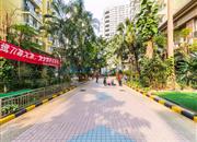 金众经典家园-环境绿化