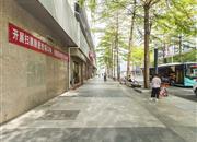 南洋大厦-环境绿化