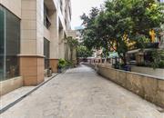 金鼎大厦（金鼎辉煌世纪）-环境绿化