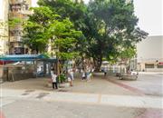 友谊大厦-环境绿化