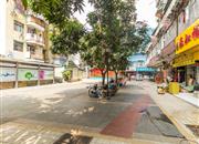 友谊大厦-环境绿化