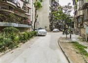 文星楼-环境绿化