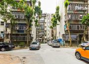 文星楼-环境绿化