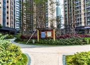 名居广场-环境绿化