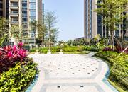 名居广场-环境绿化