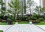 心海城-环境绿化