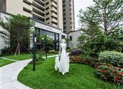 心海城-环境绿化