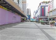 东门金座-环境绿化