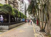 都心名苑-环境绿化