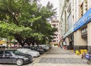 都心名苑-环境绿化