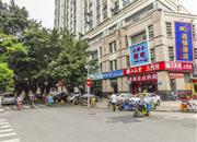 都心名苑-环境绿化