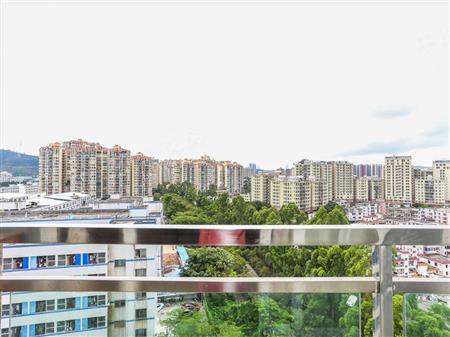 大芬油画苑-其他