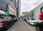 国都花园(龙岗)-环境绿化