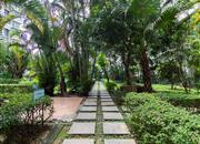 美杜兰华庭-环境绿化