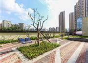 联美新天地（联美新天地华府）-环境绿化