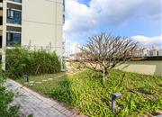 联美新天地（联美新天地华府）-环境绿化