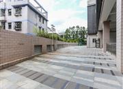 大芬艺术大厦-环境绿化