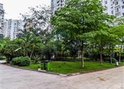 龙城国际-环境绿化