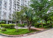 龙城国际-环境绿化