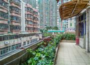 海滨市场-环境绿化