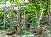 海滨市场-环境绿化