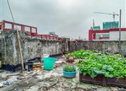 海滨市场-环境绿化