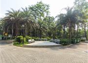 盛世鹏程-环境绿化