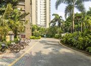 盛世鹏程-环境绿化