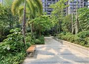 中洲华府（二期）-环境绿化