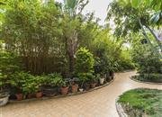 金茂礼都-环境绿化