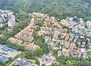 颐园别墅-俯瞰图