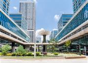 深圳湾科技生态园-环境绿化