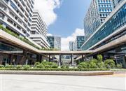 深圳湾科技生态园-环境绿化