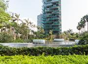 红树西岸-环境绿化