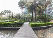 红树西岸-环境绿化