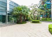 红树西岸-基础设施