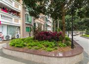 海荣居-环境绿化