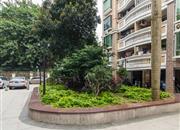 海荣居-环境绿化