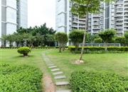 深云村-环境绿化