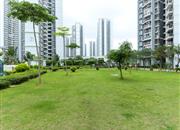 深云村-环境绿化