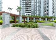 深云村-基础设施