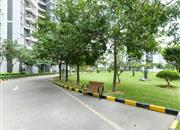 深云村-环境绿化