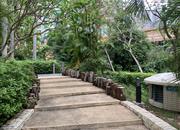 骏皇名居-环境绿化