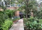 骏皇名居-环境绿化