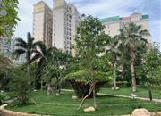 骏皇名居-环境绿化