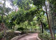 骏皇名居-环境绿化