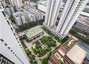 红树绿洲-俯瞰图